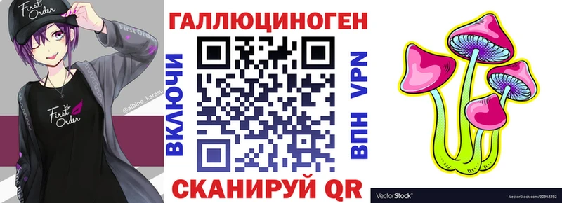 Псилоцибиновые грибы Psilocybe Верхнеуральск