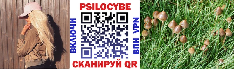 Псилоцибиновые грибы Psilocybine cubensis  Купить где  Верхнеуральск 